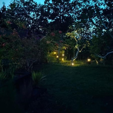 Batumadeg Bougainvillea Bungalow מראה חיצוני תמונה