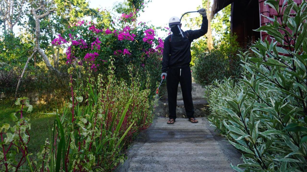 Batumadeg Bougainvillea Bungalow מראה חיצוני תמונה